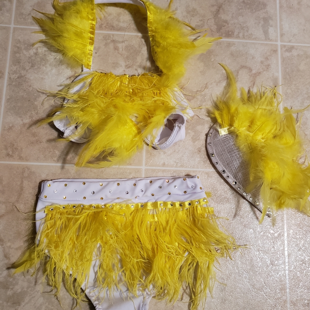 Custom dance costume